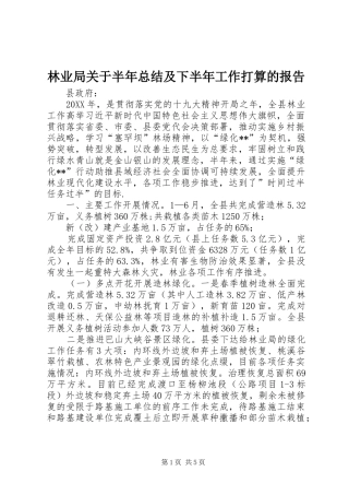 2024年林业局关于半年总结及下半年工作打算的报告