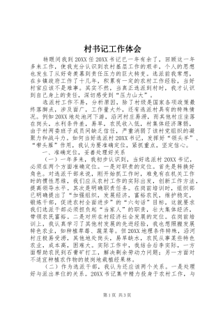 2024年村书记工作体会