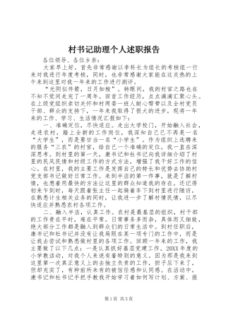 2024年村书记助理个人述职报告