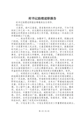 2024年村书记助理述职报告