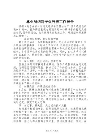 2024年林业局结对子促升级工作报告