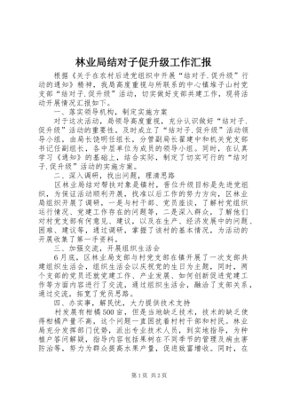 2024年林业局结对子促升级工作汇报