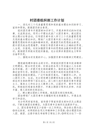 2024年村团委组织部工作计划