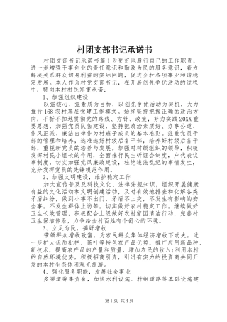 2024年村团支部书记承诺书