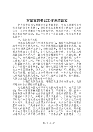 2024年村团支部书记工作总结范文