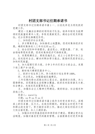 2024年村团支部书记任期承诺书