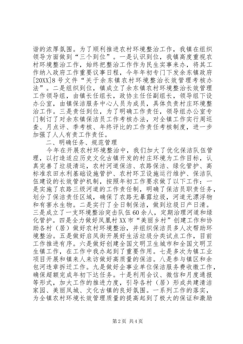 2024年村屯环境整治工作总结_第2页