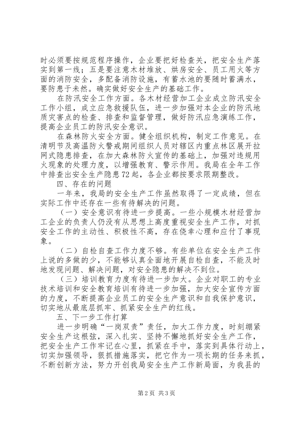 2024年林业局年度安全生产重点工作总结_第2页