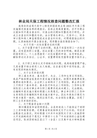 2024年林业局天保工程情况核查问题整改汇报