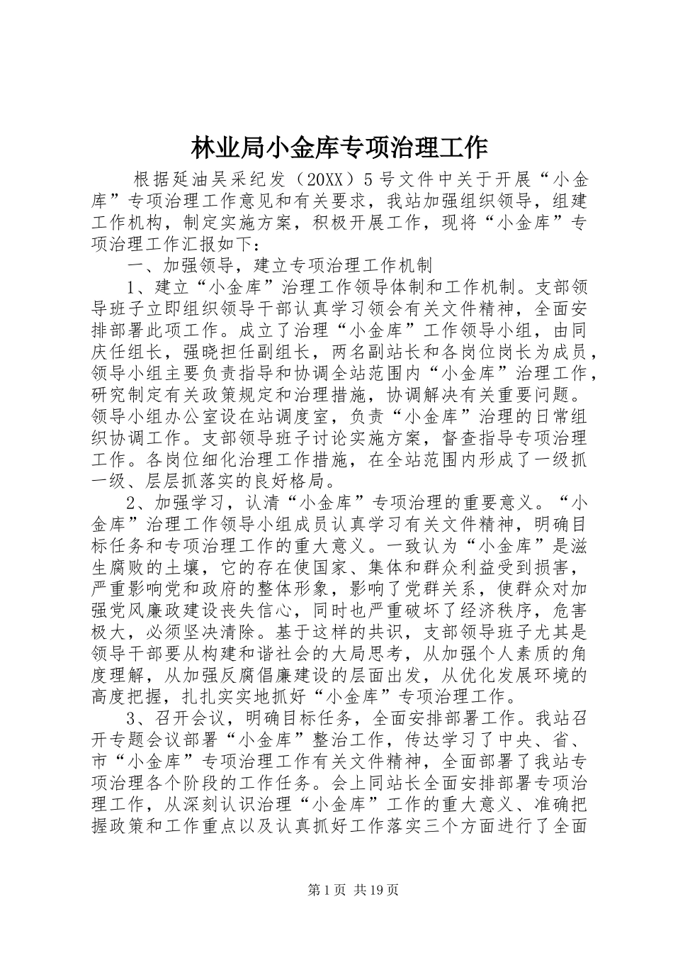 2024年林业局小金库专项治理工作_第1页