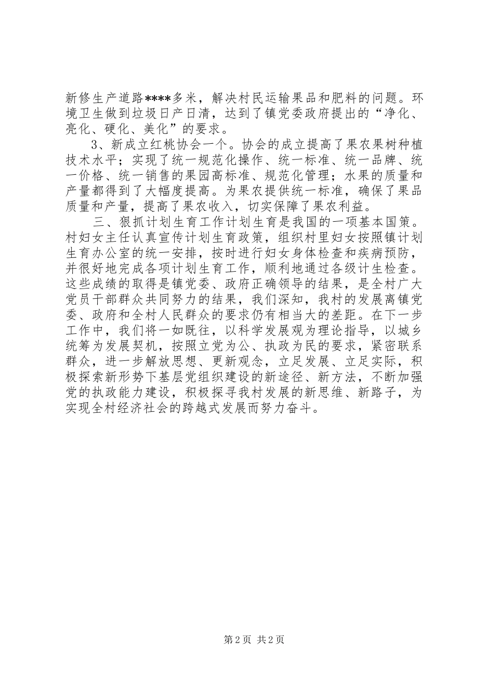 2024年村委年终工作总结_第2页