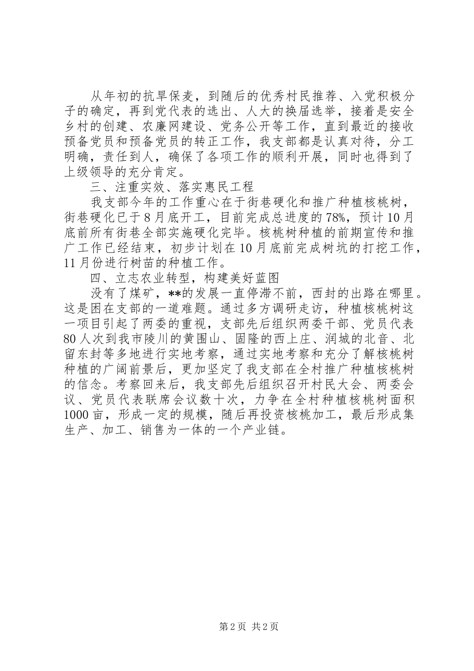 2024年村委年终总结范文_第2页