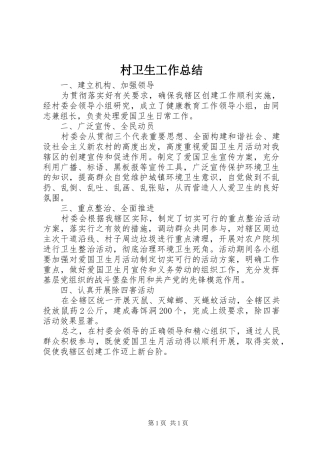 2024年村卫生工作总结