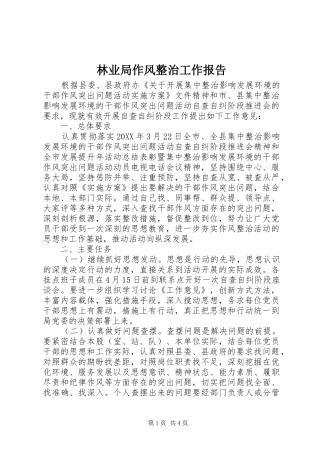 2024年林业局作风整治工作报告