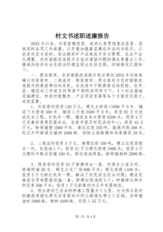 2024年村文书述职述廉报告