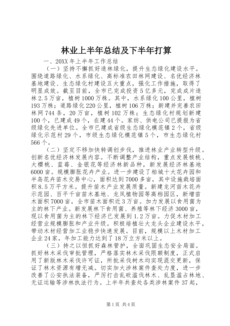2024年林业上半年总结及下半年打算_第1页
