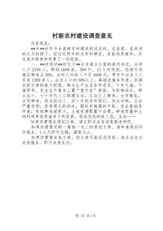 2024年村新农村建设调查意见