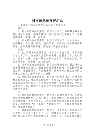 2024年村支部党员互评汇总