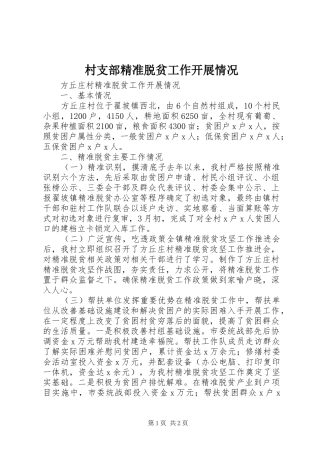 2024年村支部精准脱贫工作开展情况