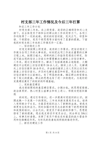 2024年村支部三年工作情况及今后三年打算