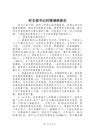 2024年村支部书记村情调研报告