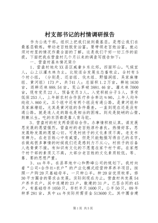2024年村支部书记的村情调研报告