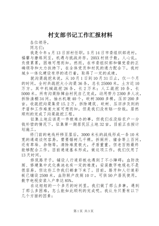 2024年村支部书记工作汇报材料