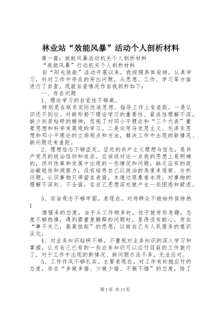 2024年林业站效能风暴活动个人剖析材料