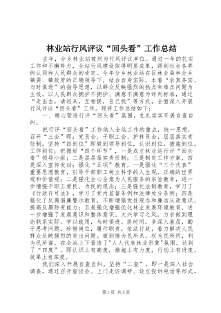 2024年林业站行风评议回头看工作总结