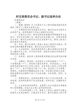 2024年村支部委员会书记副书记选举办法