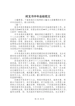 2024年村支书半年总结范文