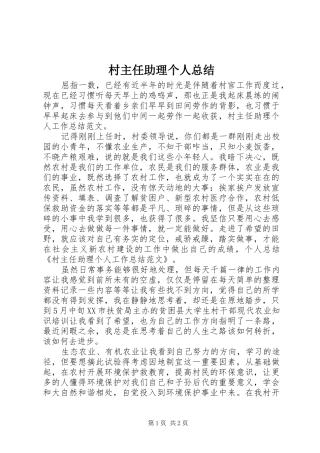 2024年村主任助理个人总结