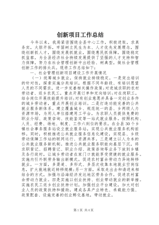 2024年创新项目工作总结