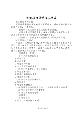 2024年创新项目总结报告格式