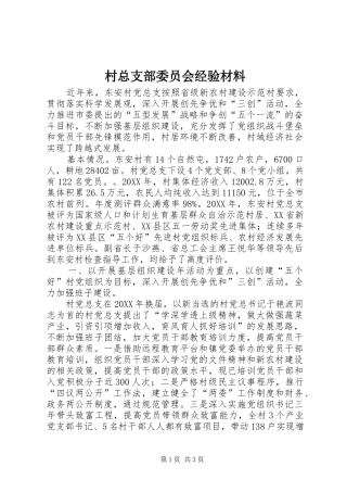 2024年村总支部委员会经验材料