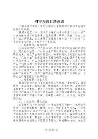 2024年打非治违行动总结