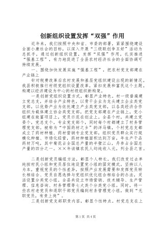 2024年创新组织设置发挥双强作用