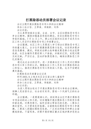 2024年打黑除恶动员部署会议记录