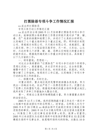 2024年打黑除恶专项斗争工作情况汇报