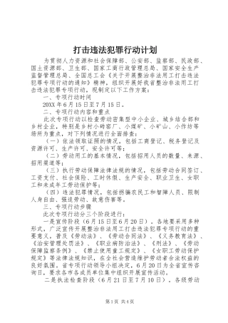2024年打击违法犯罪行动计划