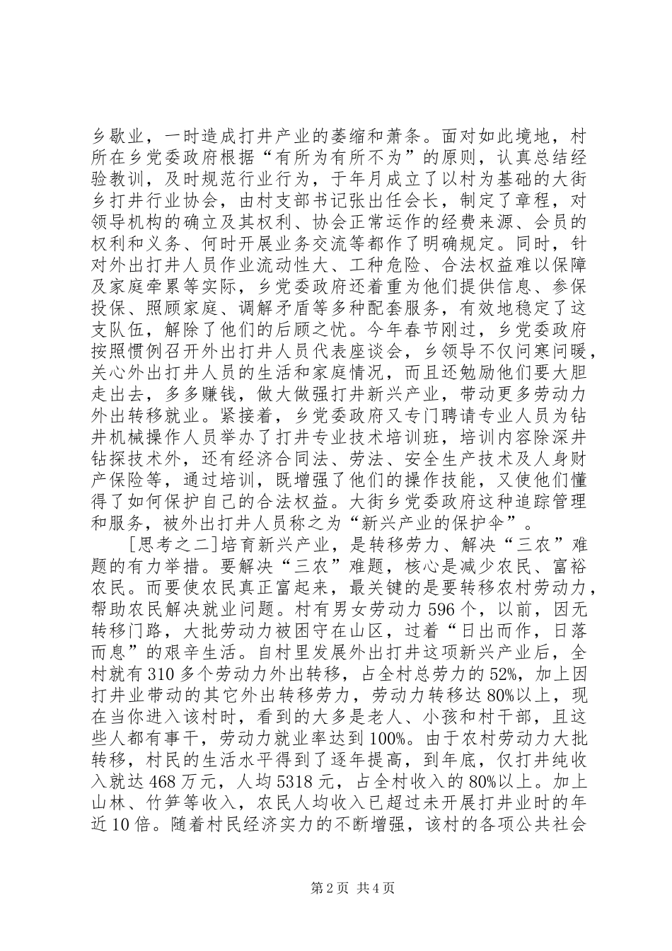 2024年打井专业村的调研与思考_第2页