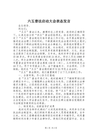 2024年六五普法启动大会表态讲话