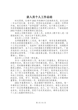 2024年录入员个人工作总结