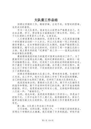 2024年大队委工作总结