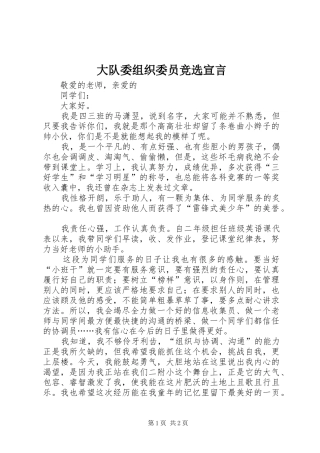 2024年大队委组织委员竞选宣言