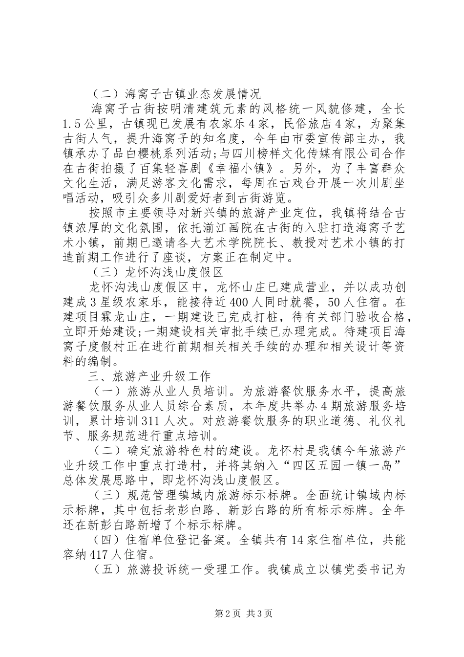 2024年旅游产业工作总结_第2页