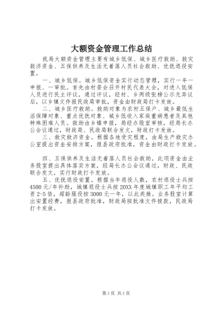2024年大额资金管理工作总结