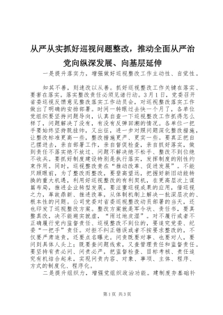 2024年从严从实抓好巡视问题整改，推动全面从严治党向纵深发展向基层延伸
