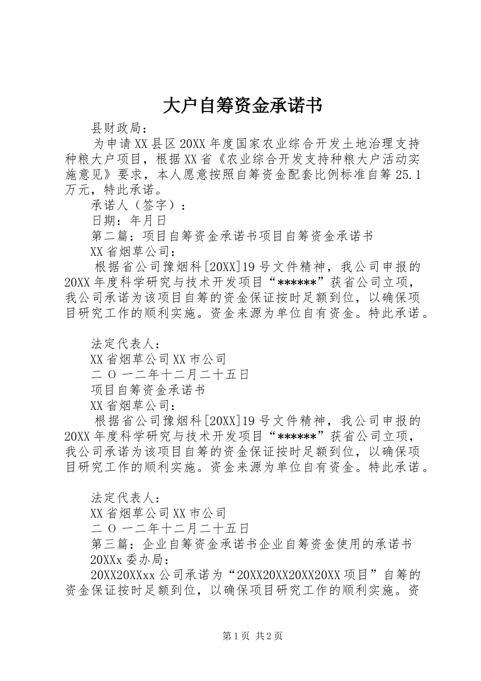 2024年大户自筹资金承诺书_第1页