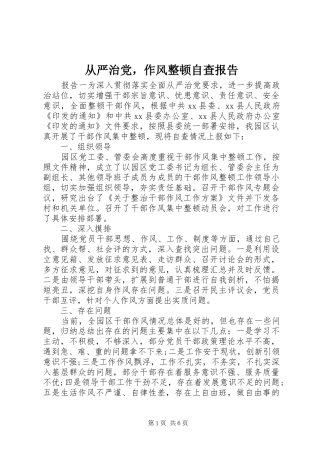 2024年从严治党，作风整顿自查报告